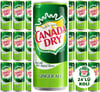 Canada Dry Ginger Ale 330ml Zencefil Aromalı Gazlı İçecek