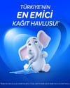 Selpak Kağıt Havlu Dev Rulo 1=2