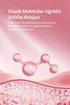 Dermal Yaşlanma Karşıtı Leke Karşıtı Nemlendirici Pdrn Toning Serum 30 Ml