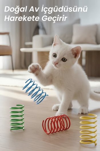 Ata Home 16’lı Kedi Oyuncak Yay Seti Kediler için Eğlenceli ve Hareketli Zıplayan Kedi Oyuncağı Karışık Renk