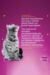 Whiskas Sos Içinde Tavuklu Yetişkin Kedi Konservesi 400 Gr X 24
