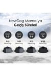 New Dog Newdog Kuzu Etli Pirinçli Yetişkin Köpek Maması 15 Kg