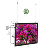 Magneco Ledbox Çift Taraflı Işıklı Çerçeve B2