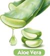 Baby Turco Islak Havlu 3x90'lı Aloevera