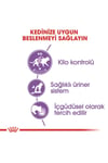 Royal Canin Sterilised Gravy Kısırlaştırılmış Yetişkin Kedi Konservesi 85 Gr X 12