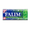 Falım Sakız 7 gr 20'li Paket Nane Aromalı