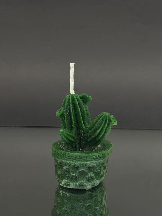 Saksılı Kaktüs Figürlü Dekoratif Mum