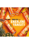 Max Fly Cosmos Enerji İçeceği 250ml 24 Adet