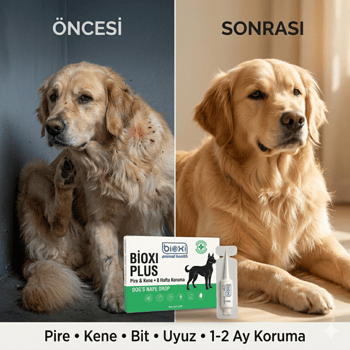 Bioxi® Köpekler için Pire Kene ve Dış Parazit Ense Uygulaması 5x1 Ml Tüp