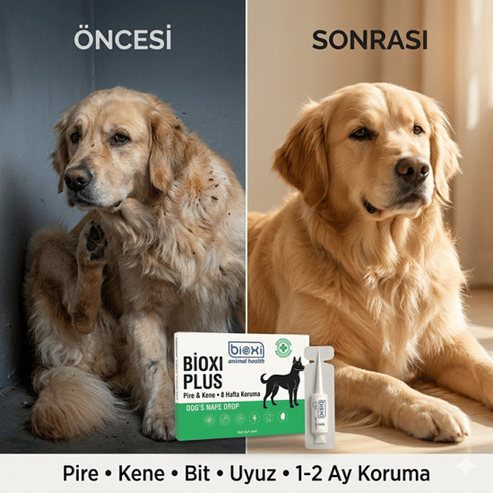 Bioxi® Köpekler için Pire Kene ve Dış Parazit Ense Uygulaması 5x1 Ml Tüp