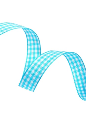 Tafta Ekoseli Kurdele 25 Mm Mint 2 Metre