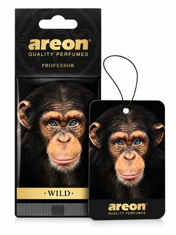 Areon Wild Professor Oto Araç Kokusu