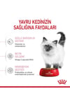 Royal Canin Kitten 4 Kg Yavru Kuru Kedi Maması (4-12 ay 2. dönem yavru kediler)