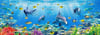 Nova Puzzle 1000 Parça Denizin Derinliklerinde (akvaryum) Puzzle