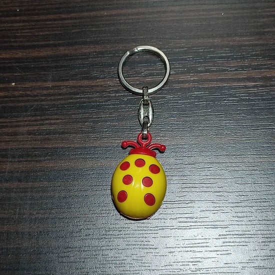 Arga Taraftar Uğur Böceği Anahtarlık