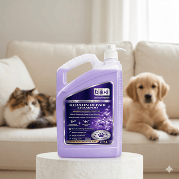 Bioxi®pro Goomer Yıpranmış Tüyler için Konsantre Keratin Bakım ve Onarım Şampuanı,3lt,pet Kuaförlerine Özel