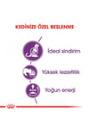 Royal Canin Sensible 33 Hassas Kedi Maması 2 kg