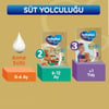 Bebelac Gold 2 Çocuk Devam Sütü 800 G