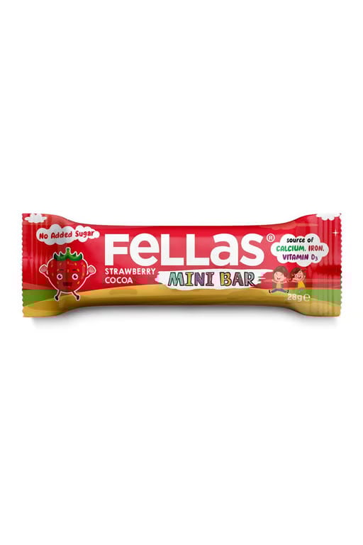 Fellas Kids Meyve Bar - Çilekli ve Kakaolu 28g