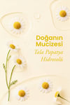 Tala Papatya Suyu Hidrosol 100 Ml