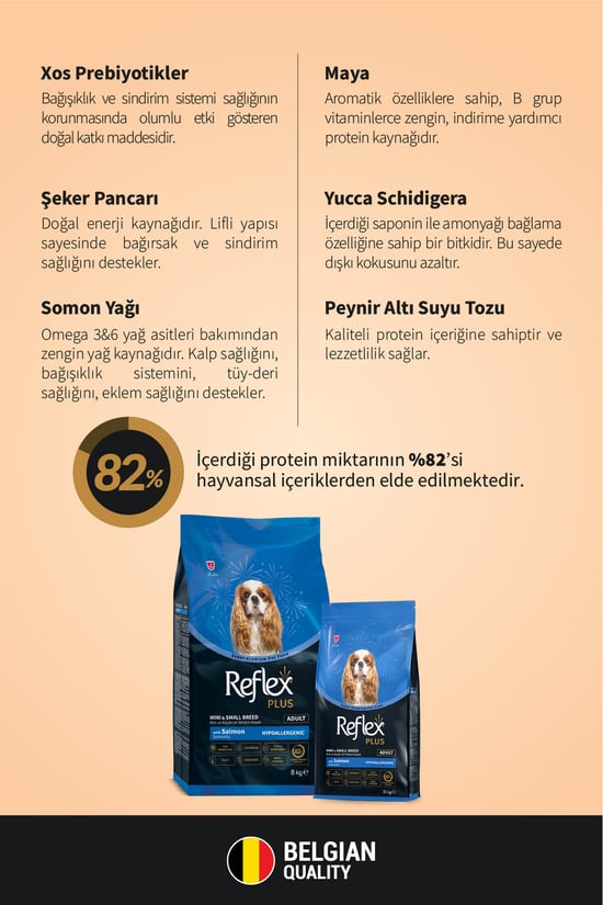 Plus Hipoalerjenik Mini ve Küçük Irklar için Somonlu Yetişkin Köpek Maması 8 Kg