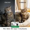Bioxi® Kediler için Pire Kene ve Dış Parazit Ense Uygulaması 5x1 Ml Tüp