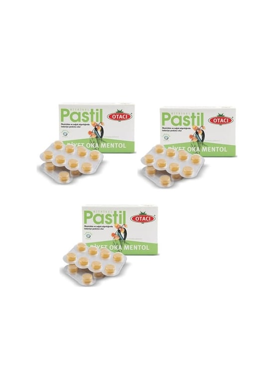 Otacı Pastil Oka Mentol 16'lı