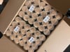 ProCo Bambu Kürdan 400'lü