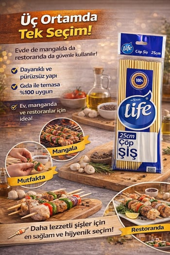 Life Bambu Çöp Şiş  25 Cm  100 'Lü