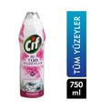 Cif Tüm Yüzeyler Jel 750 Ml Çiçek Ferahlığı