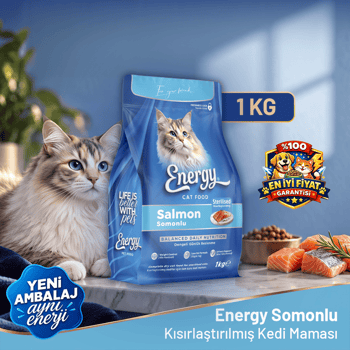 Energy Kedi Maması 1 kg Somonlu Kısırlaştırılmış