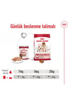 Royal Canin Orta Irklar Için Yaş Konserve Köpek Maması 410g