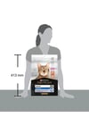 Pro Plan Original Senior +7 Somonlu Yaşlı Kedi Maması 3 Kg