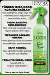 Revola Expert Luxeri Onarıcı Etki Fön Suyu 400 Ml Aloe Vera