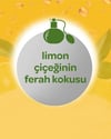 Dalin Bebek Kolonyası 150 Ml ( Limon Çiçeği )