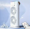Previous
