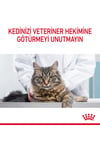 Royal Canin Hairball Care Tüy Yumağı Kontrolü Kedi Maması 2 Kg