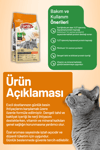 Energy Somonlu Kısırlaştırılmış Kedi Maması - 15 Kg