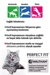 Perfect Fit Active Yetişkin Sığırlı Kedi Kuru Mama 1.4 Kg