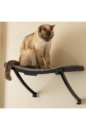 Ata Home Duvar için Plastik Kedi Yatağı , Duvar Kedi Terası ve Tüneği