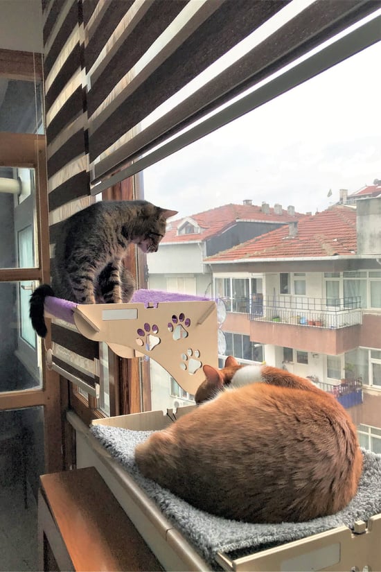 Ata Home Cama Asılan Kedi Yatağı Vantuzlu