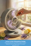 Sinbo Sf-7701 Masaüstü Vantilatör Fan Koyu Gri