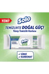 Temizlikte Doğal Güç Okaliptus&çam Esintisi Yüzey Temizlik Havlusu 100 Yaprak
