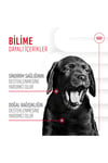 Royal Canin Immunity&digestion Chews Bağışıklık ve Sindirim Sistemini Destekleyen Tamamlayıcı Ödül Maması 100 G
