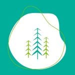 Discover Persian Lynn Valley Counselling – Top Mental Health in Vancouver