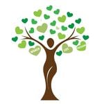 Discover Persian Magical.landscaping – Top Landscaping in Vancouver