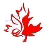 Discover Persian Hesam Kazemi – Top Immigration in Vancouver