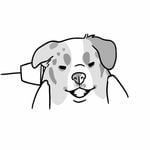 Discover Persian 𝐄 𝐗 𝐓 𝐈 𝐍 𝐊 𝐓 – Top Tattoo in Vancouver