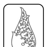 Discover Persian Zahra Heydari – Top Art in Vancouver