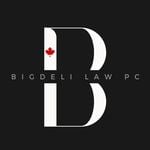 Discover Persian Bigdeli Law Professional Corporation – Top Immigration in Vancouver